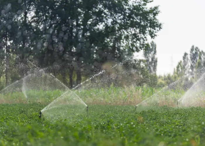 Feriegård Primaluna