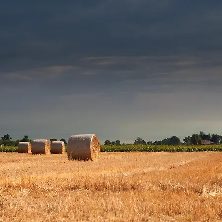 Farm stay Primaluna