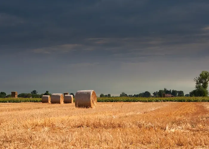 בית חווה Primaluna